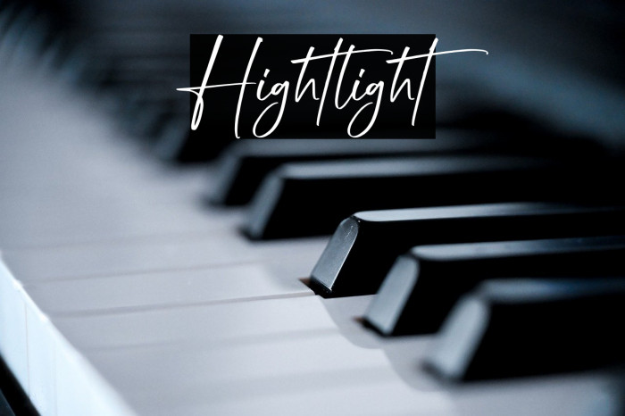 Hightlight Example 3