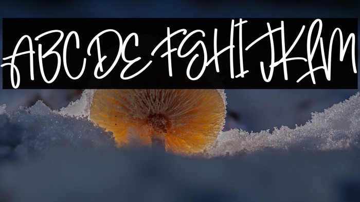 Hightschool Example 1