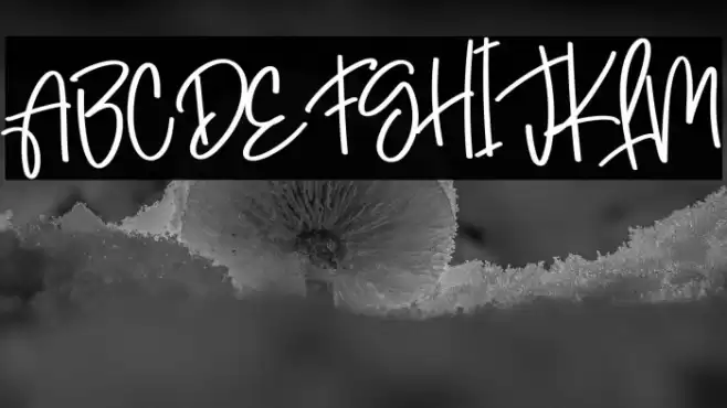 Hightschool Polices examples