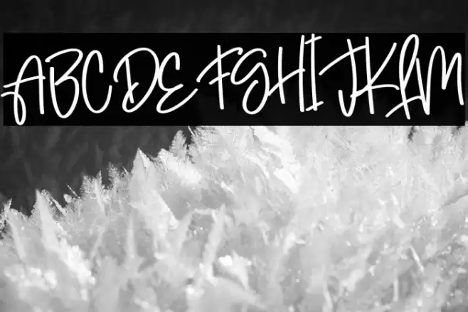 Hightschool Polices examples