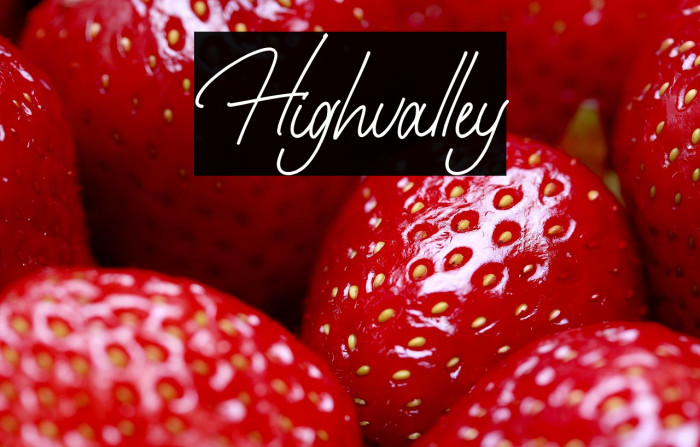 Highvalley Example 2