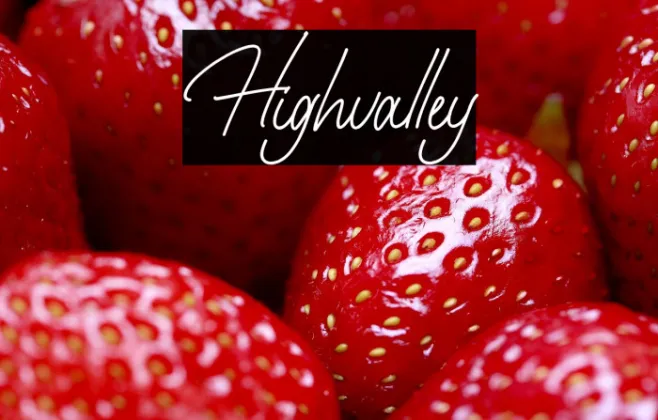 Highvalley Example 2