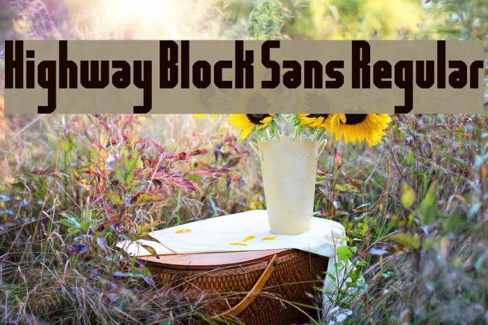 Highway Block Sans Regular Font examples