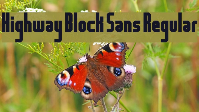 Highway Block Sans Regular Font examples