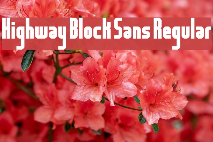 Highway Block Sans Regular Font examples