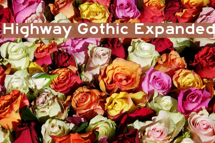 Highway Gothic Expanded Font examples