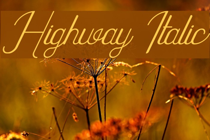 Highway Italic Font examples
