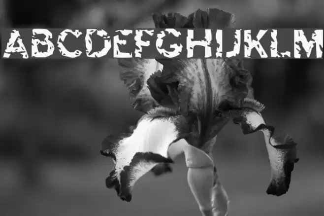 Highway to Heck フォント examples