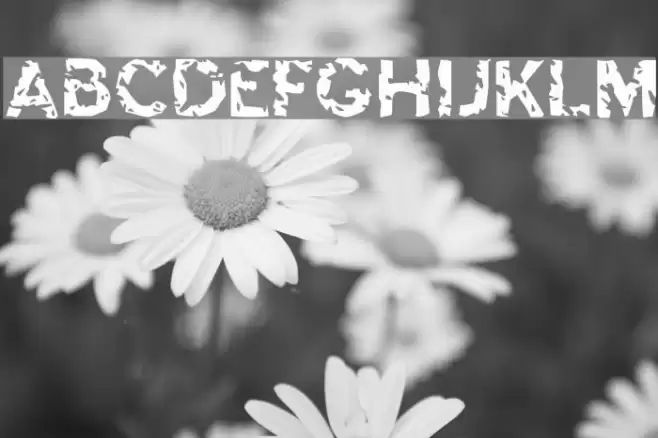 Highway to Heck フォント examples