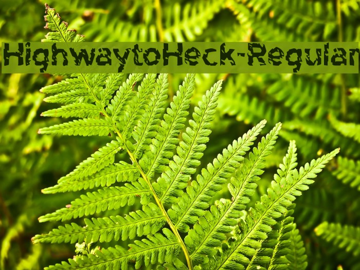 HighwaytoHeck-Regular Font examples