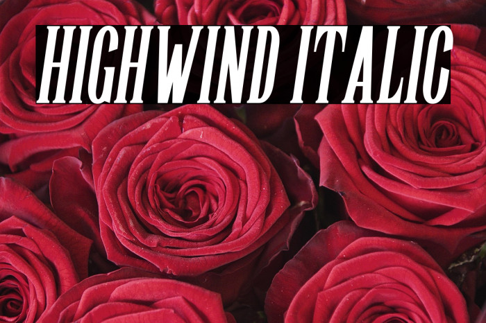 Highwind Italic Example 1