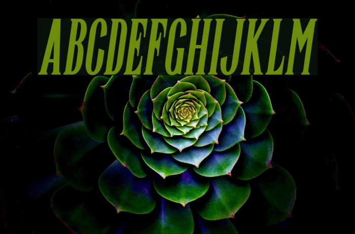 Highwind-Italic Font examples