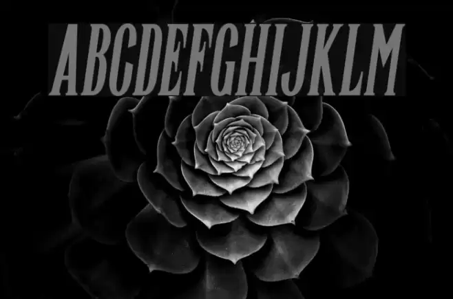 Highwind-Italic Font examples