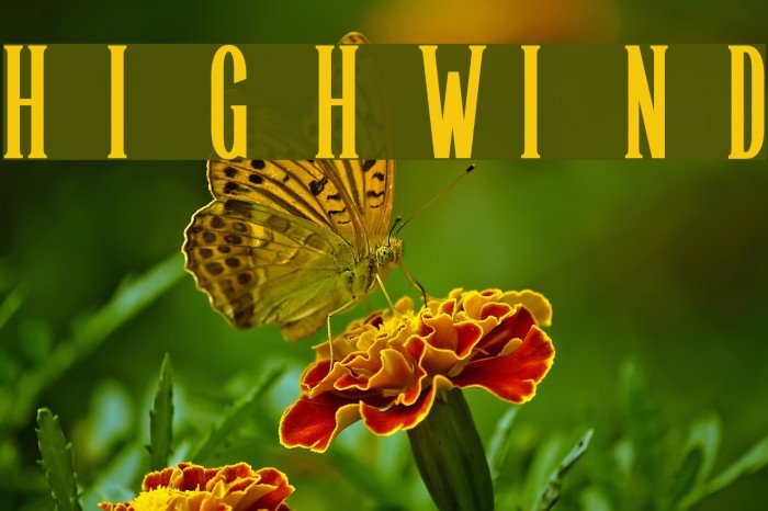 Highwind Font examples