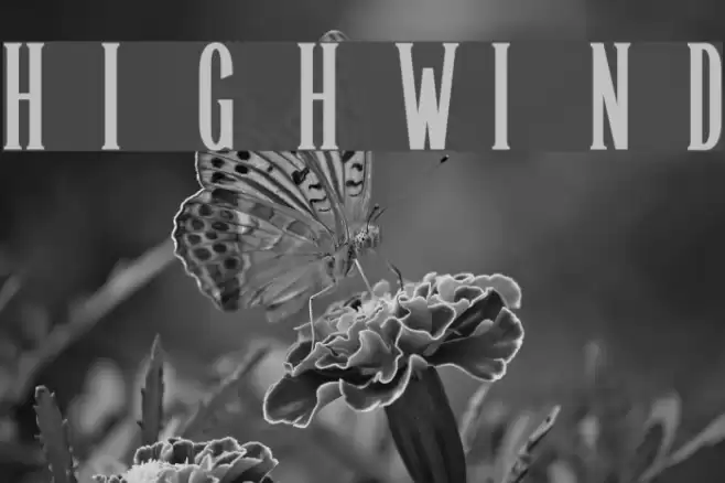 Highwind Font examples
