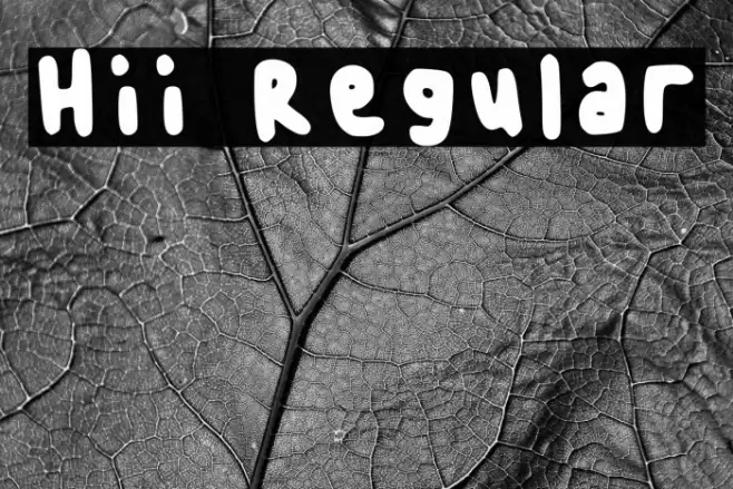 Hii Regular Font examples