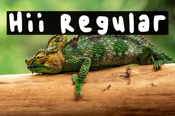Hii Regular フォント examples
