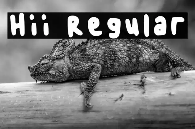 Hii Regular Font examples