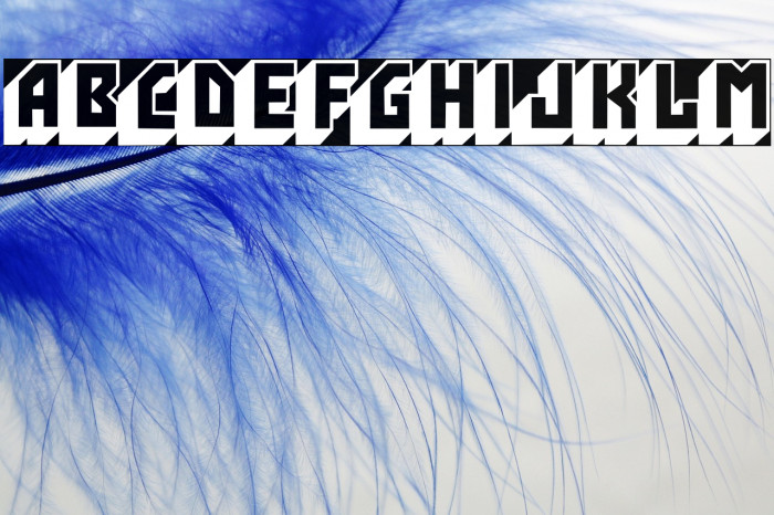 HijoPutaPeligroso Example 2