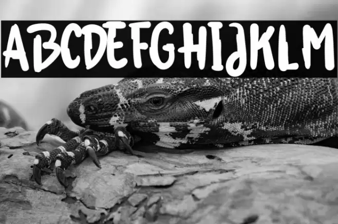 Hikata Font examples