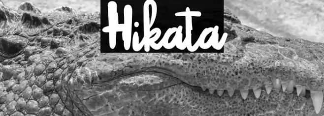 Hikata Font examples