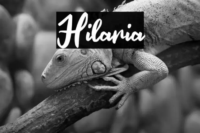 Hilaria Caratteri examples