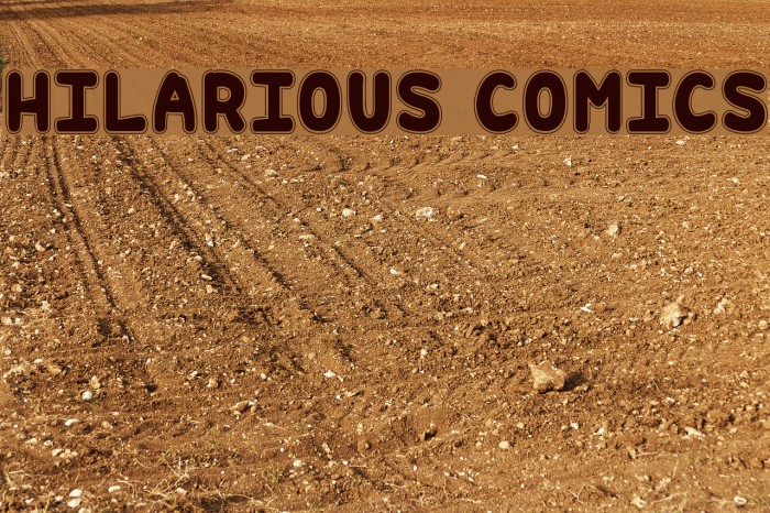 Hilarious Comics Example 1