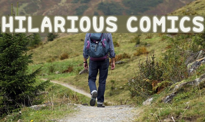 Hilarious Comics Example 2