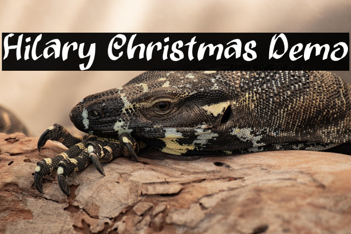 Hilary Christmas Demo Example 3