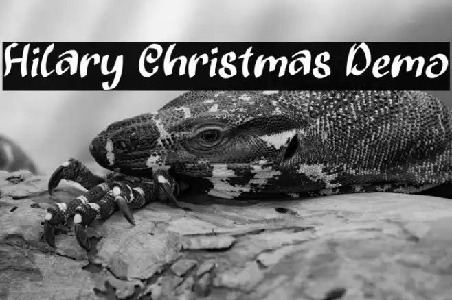 Hilary Christmas Demo Caratteri examples