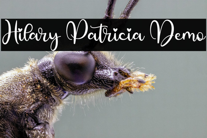 Hilary Patricia Demo Example 3