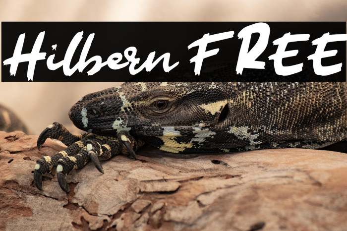 Hilbern FREE Example 3