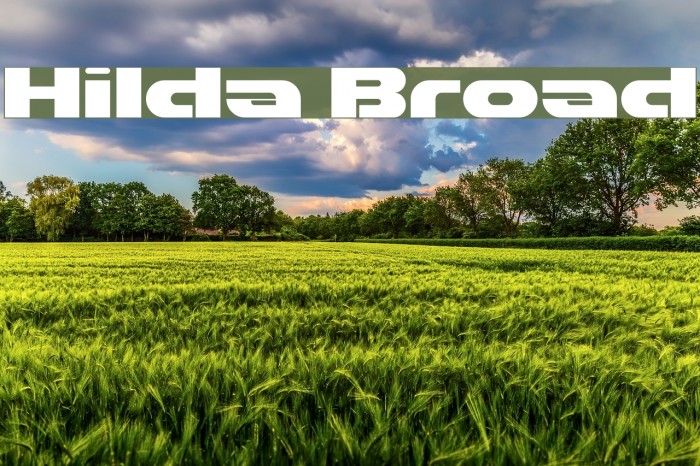 Hilda Broad Font examples