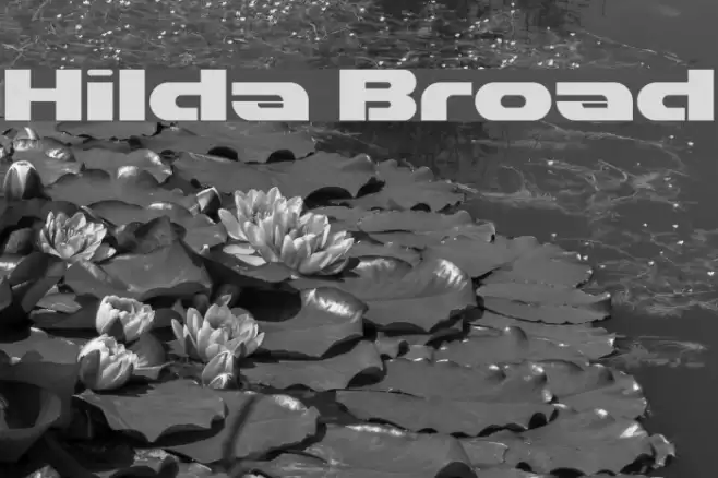 Hilda Broad Шрифта examples