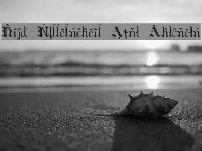 Hilda Sonnenschein Extra Characters Polices examples