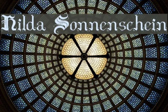 Hilda Sonnenschein Example 2