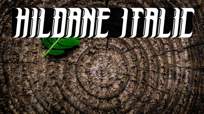 Hildane Italic Example 3