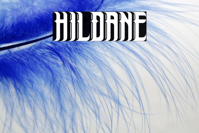 Hildane Example 2