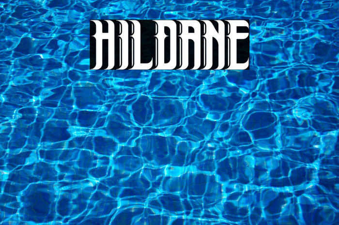 Hildane Example 3