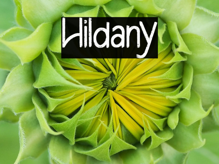 Hildany Example 1