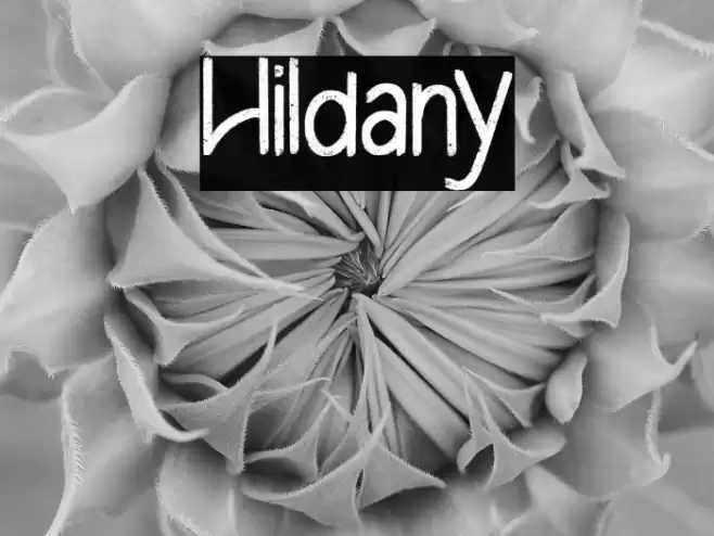 Hildany Font examples