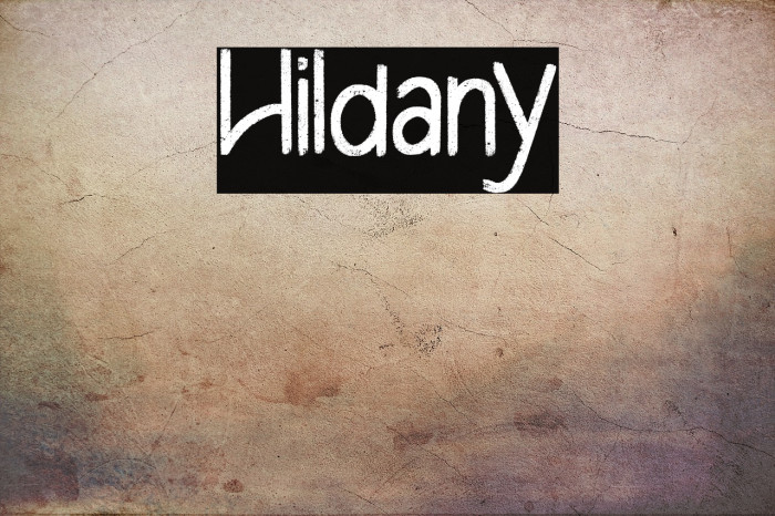 Hildany Example 2