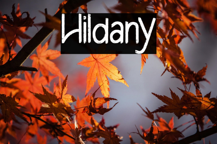 Hildany Example 3