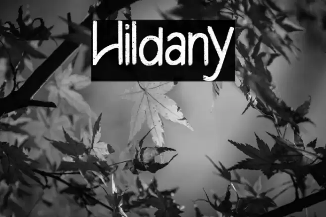 Hildany Font examples
