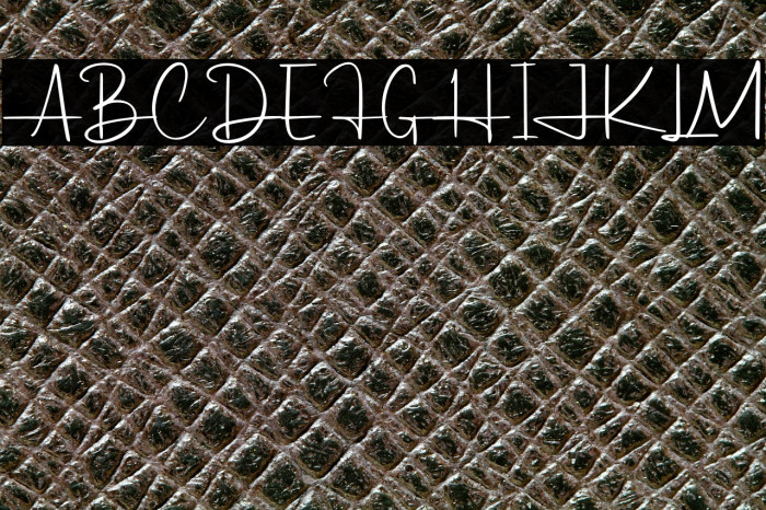 Hildaquin Demo Example 1