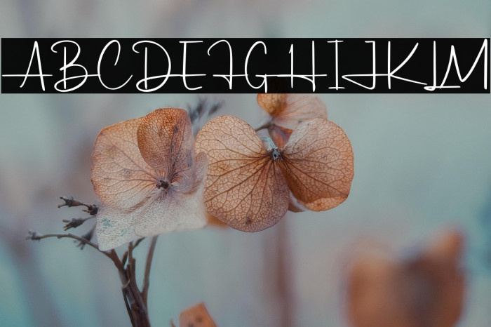 Hildaquin Demo Example 3