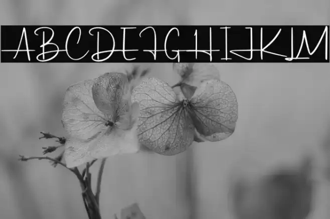 Hildaquin Demo Schriftart examples