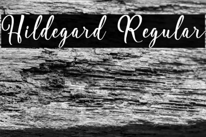 Hildegard Regular Font examples