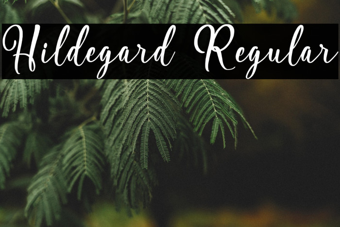 Hildegard Regular Example 2