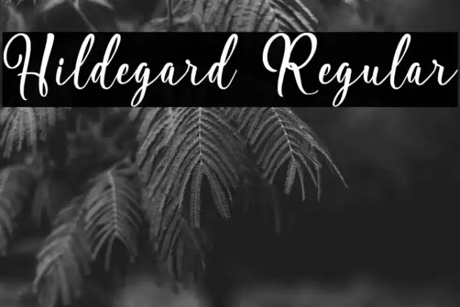 Hildegard Regular Font examples